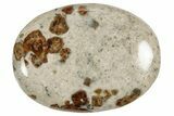 Polished Garnet In Wollastonite Palm Stone - Namibia #343952-1